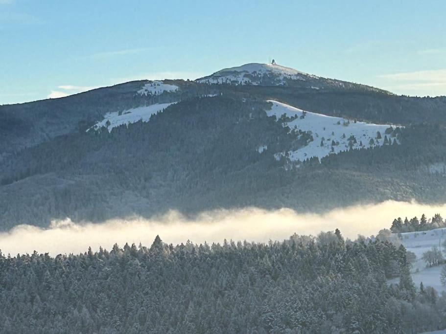 Un Coin De Montagne Lejlighed Linthal Eksteriør billede